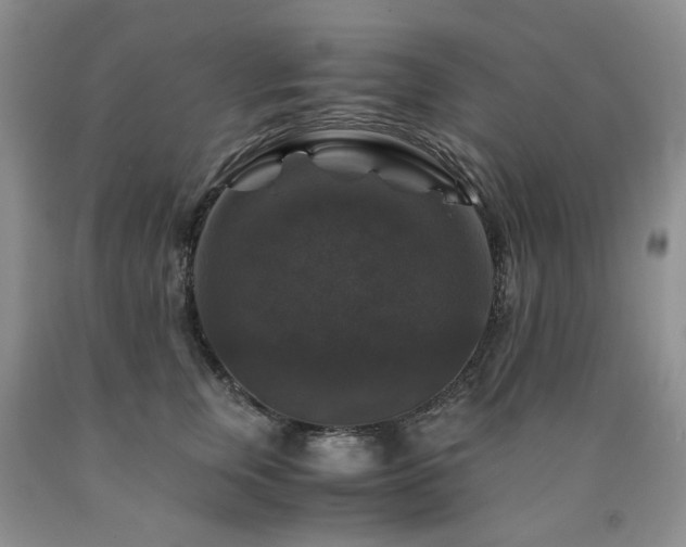 X0000090760759200707201503