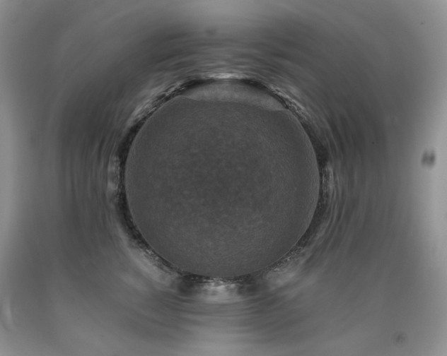 X0000090760760200707201503