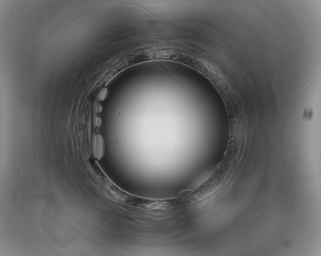 X0000090760761200707201503