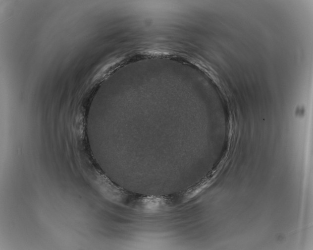 X0000090760762200707201503