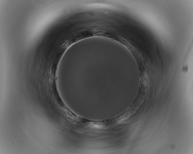 X0000090760763200707201503