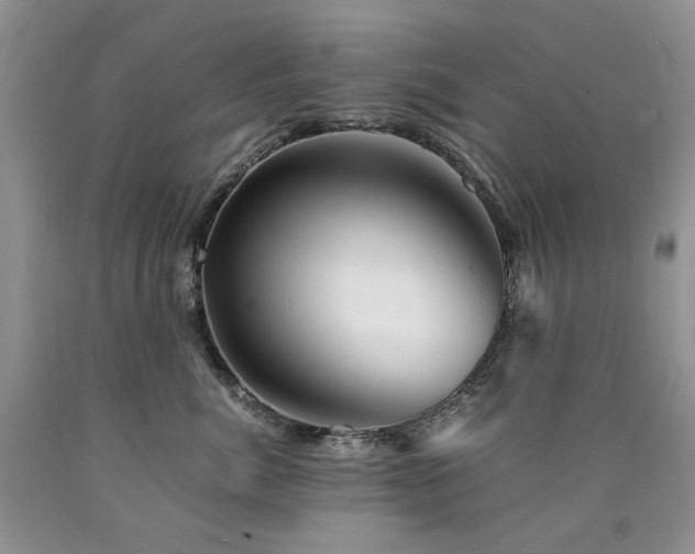 X0000090760764200707201503