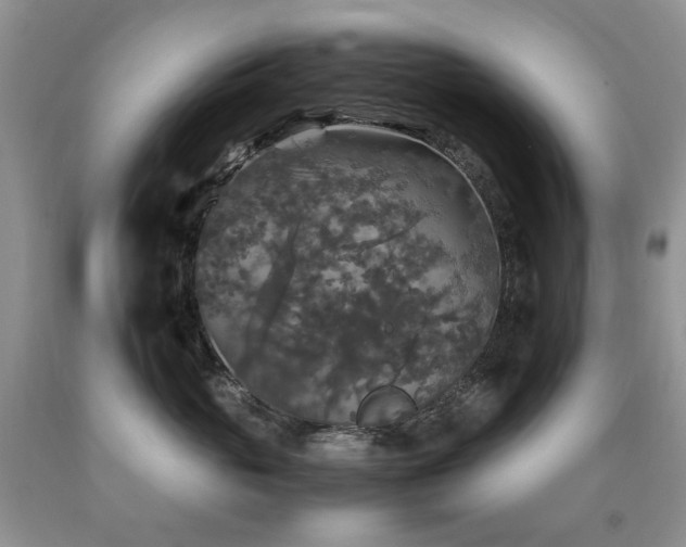 X0000090760765200707201503