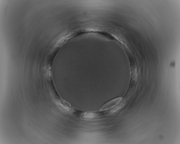 X0000090760766200707201503