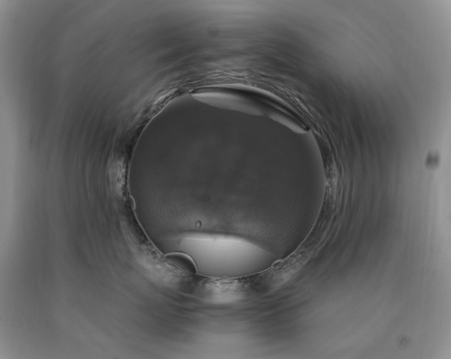 X0000090760767200707201503