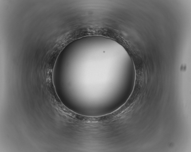 X0000090760770200707201503