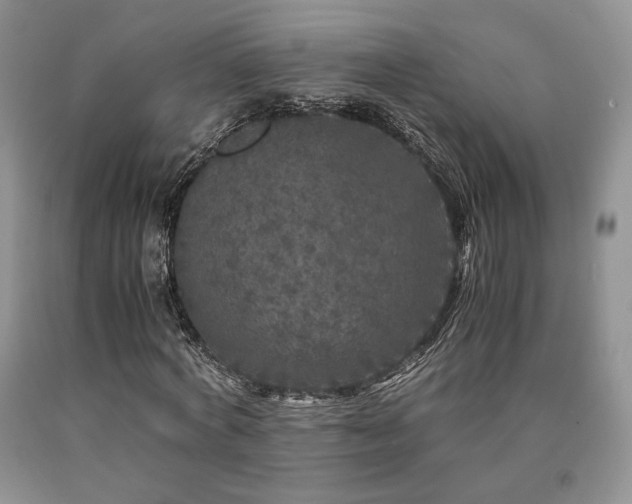 X0000090760772200707201503