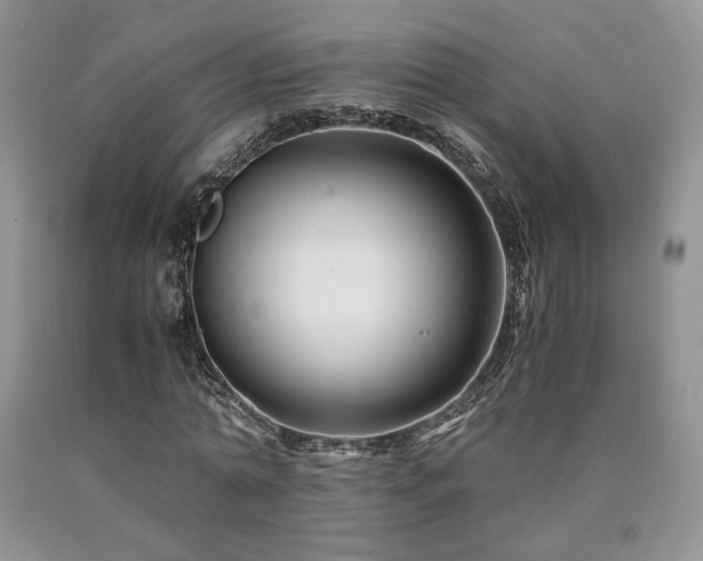 X0000090760774200707201502