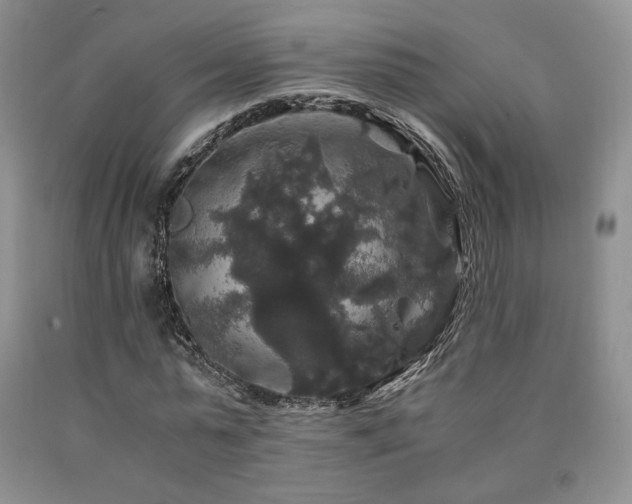 X0000090760775200707201502