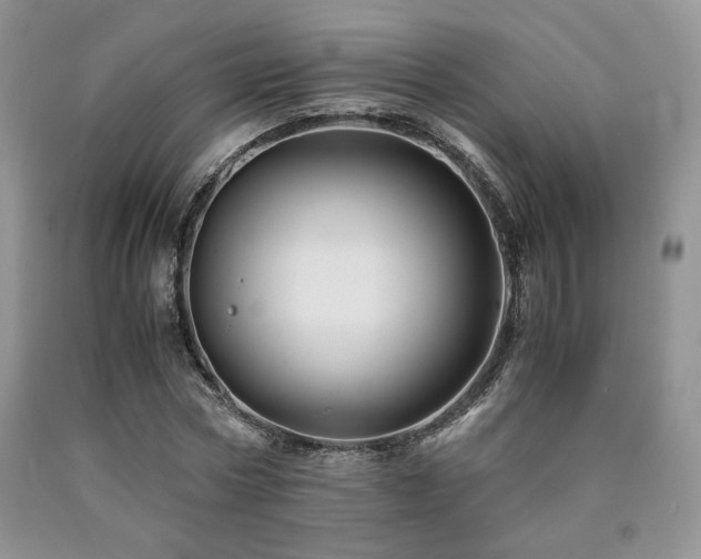 X0000090760778200707201502