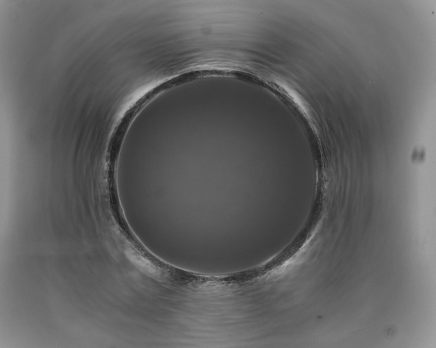 X0000090760779200707201502