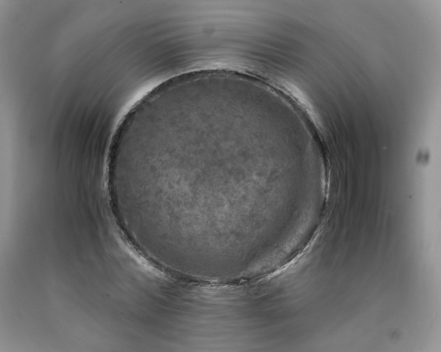 X0000090760780200707201502