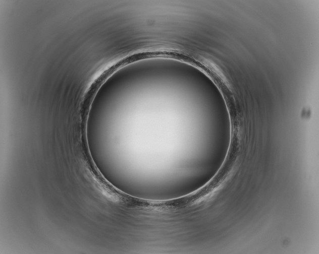 X0000090760781200707201502