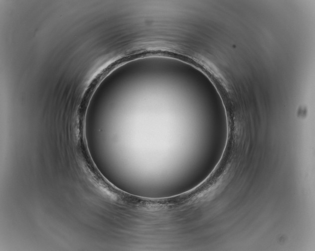 X0000090760782200707201502