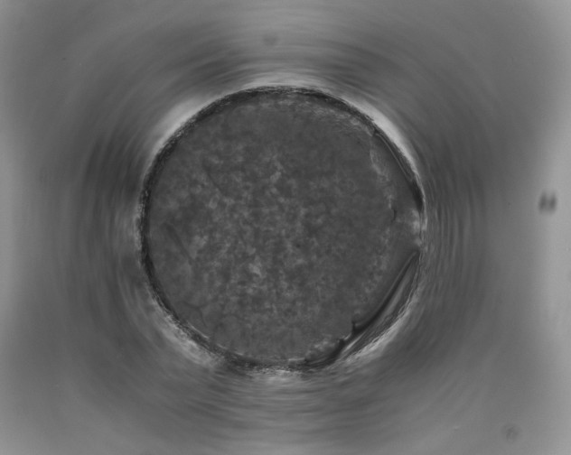 X0000090760783200707201502