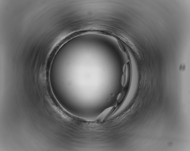 X0000090760784200707201502