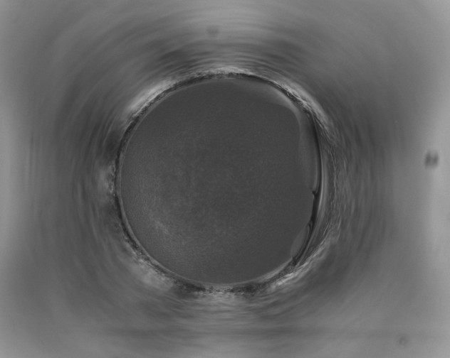 X0000090760785200707201502