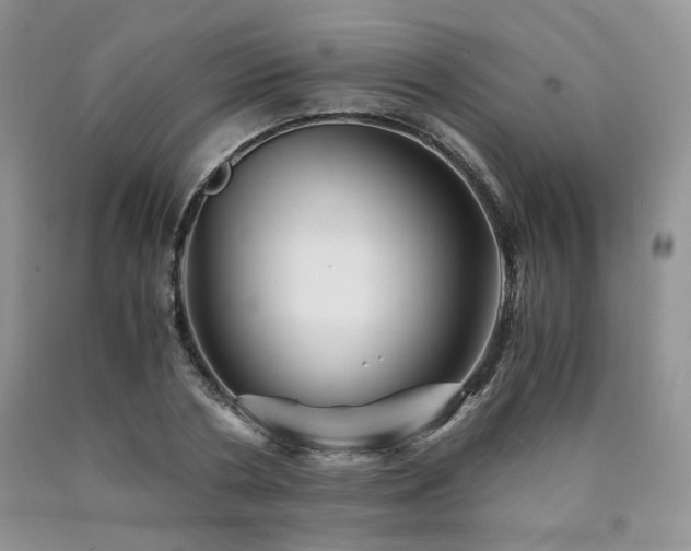 X0000090760786200707201502