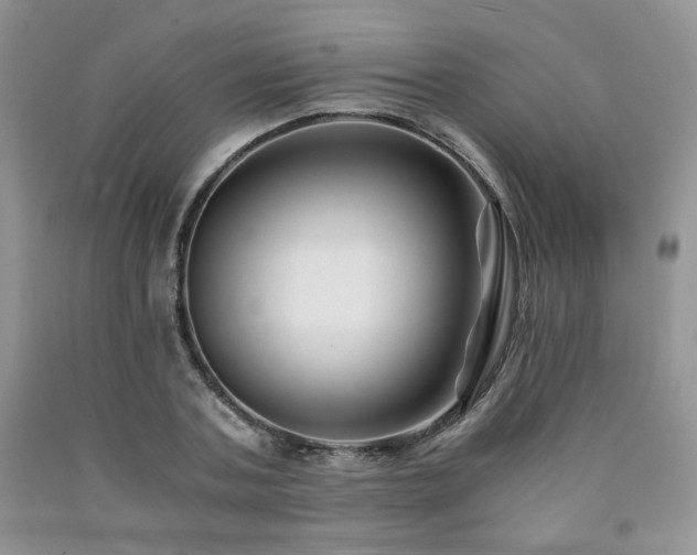 X0000090760787200707201502