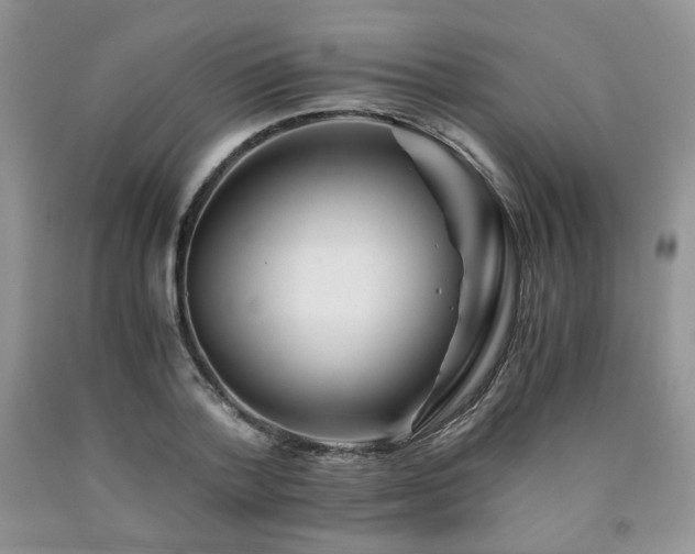 X0000090760788200707201502