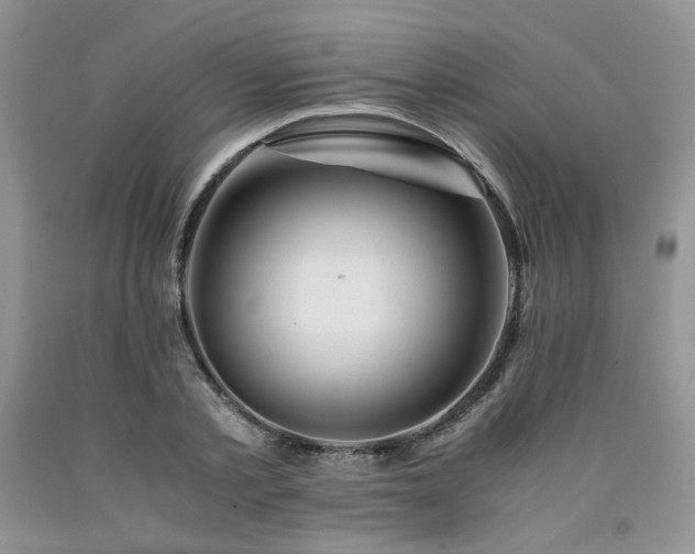 X0000090760789200707201502