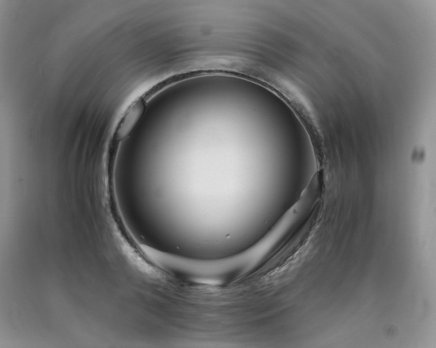 X0000090760792200707201502