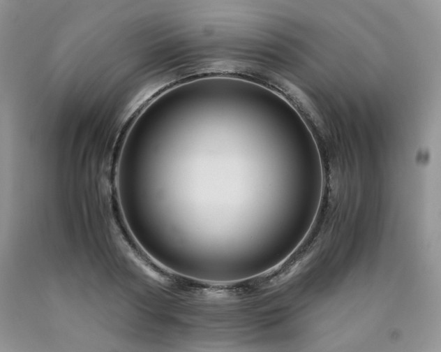 X0000090760794200707201502