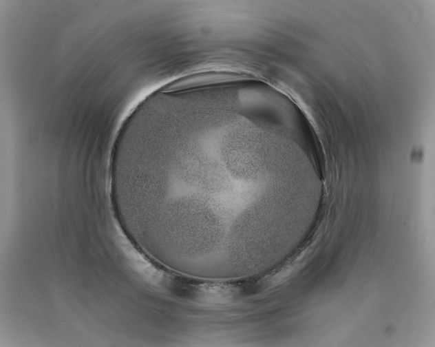 X0000090760795200707201502