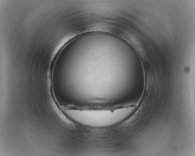 X0000090760796200707201502