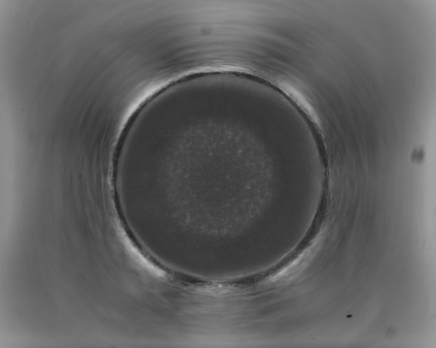 X0000090760797200707201502