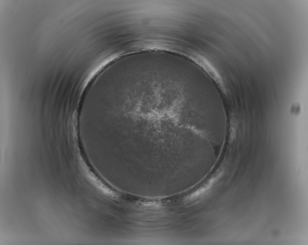 X0000090760798200707201502