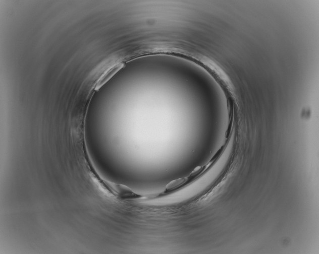 X0000090760801200707201502