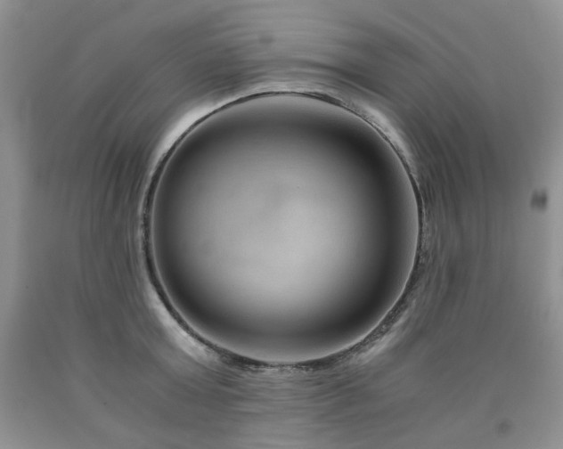 X0000090760803200707201502