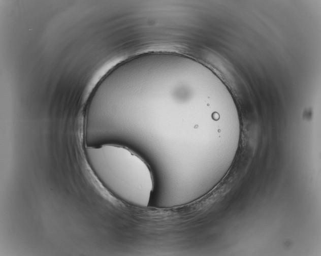 X0000090760804200707201502