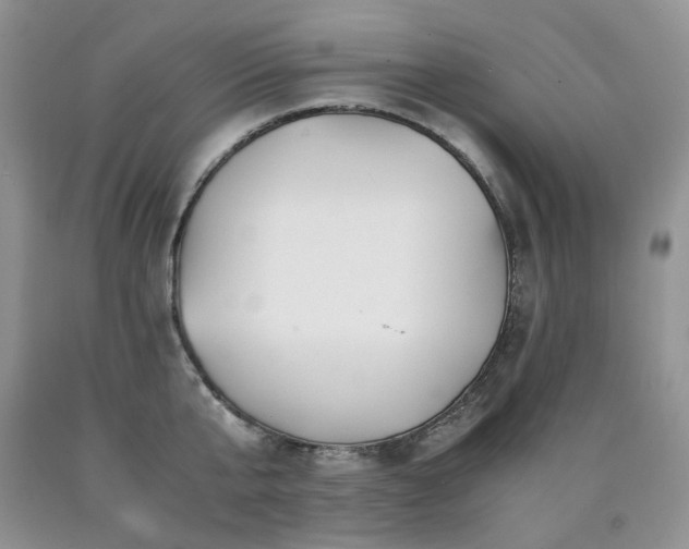 X0000090760807200707201502