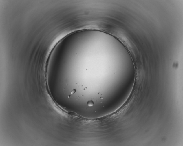 X0000090760808200707201502