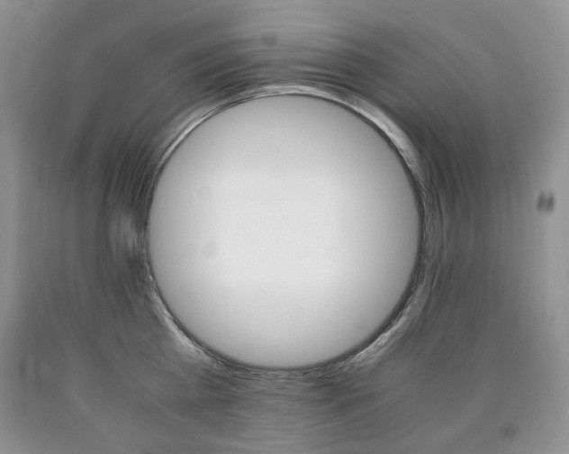 X0000090760809200707201502