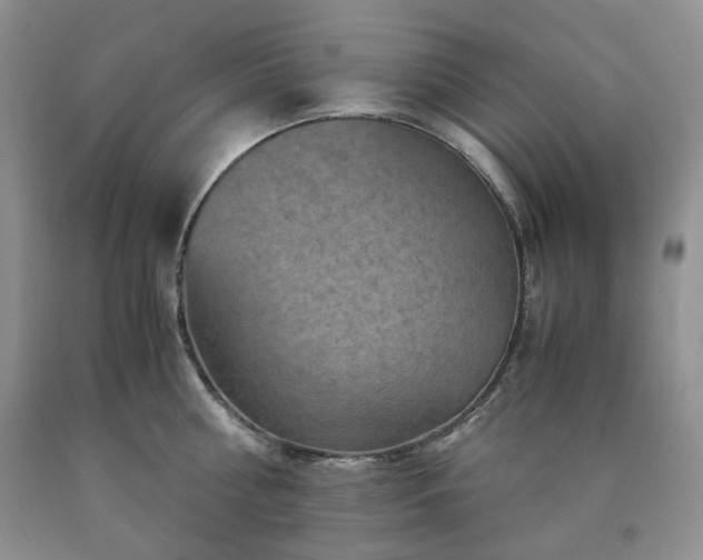 X0000090760810200707201502