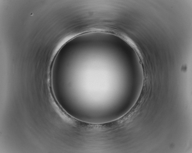 X0000090760811200707201502