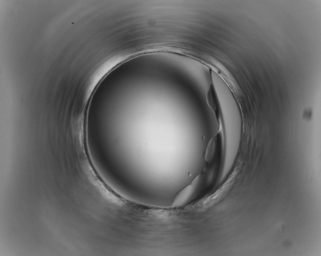 X0000090760812200707201502