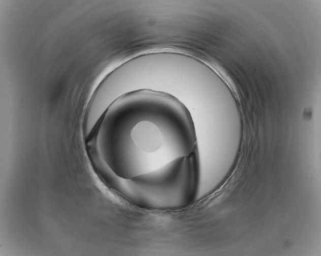 X0000090760813200707201502