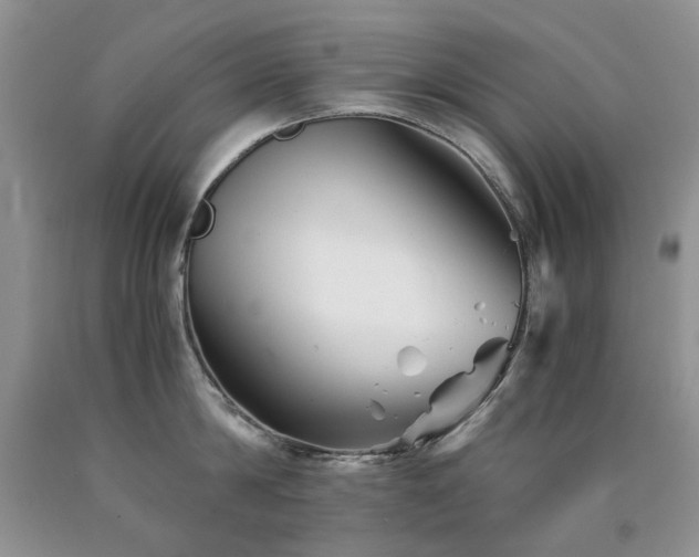 X0000090760814200707201502