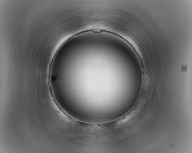 X0000090760815200707201502