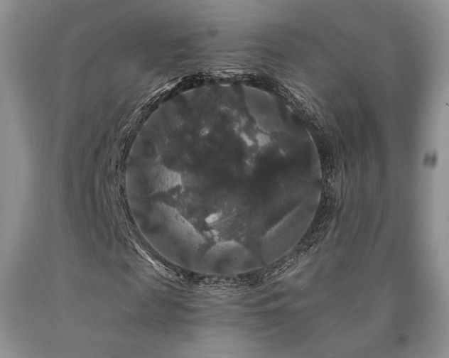 X0000090760817200707201501