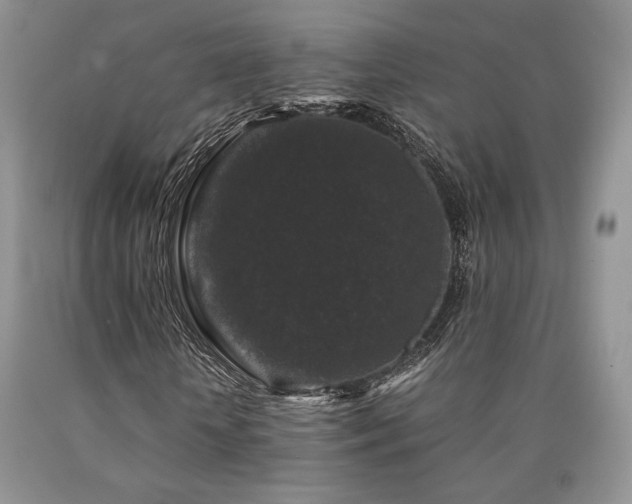 X0000090760818200707201501