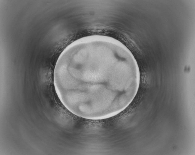 X0000090760820200707201501