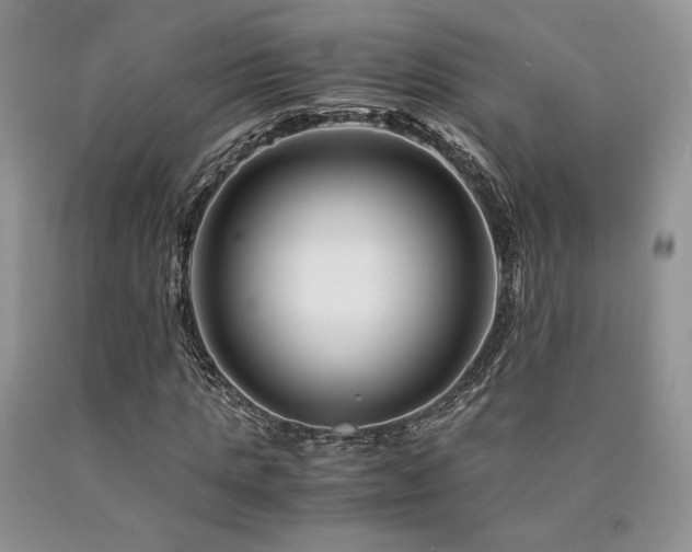 X0000090760821200707201501