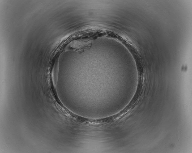 X0000090760822200707201501