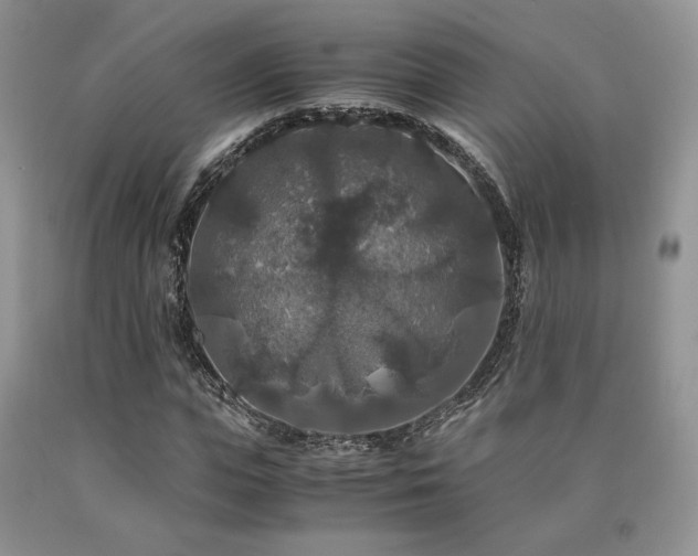 X0000090760823200707201501