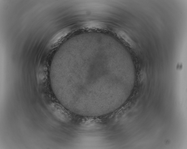 X0000090760824200707201501